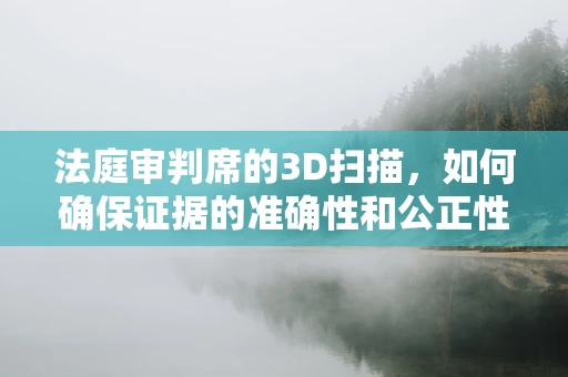 法庭审判席的3D扫描，如何确保证据的准确性和公正性？