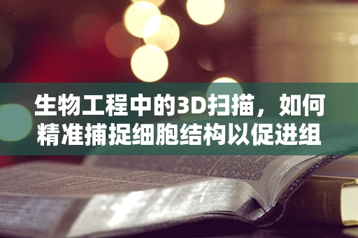 生物工程中的3D扫描，如何精准捕捉细胞结构以促进组织再生？