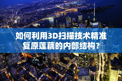 如何利用3D扫描技术精准复原莲藕的内部结构？