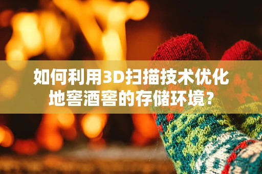 如何利用3D扫描技术优化地窖酒窖的存储环境？