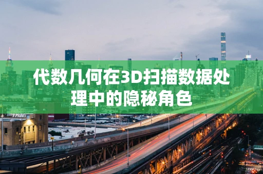 代数几何在3D扫描数据处理中的隐秘角色