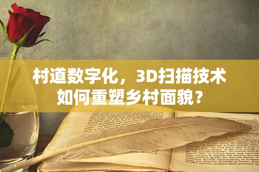 村道数字化，3D扫描技术如何重塑乡村面貌？