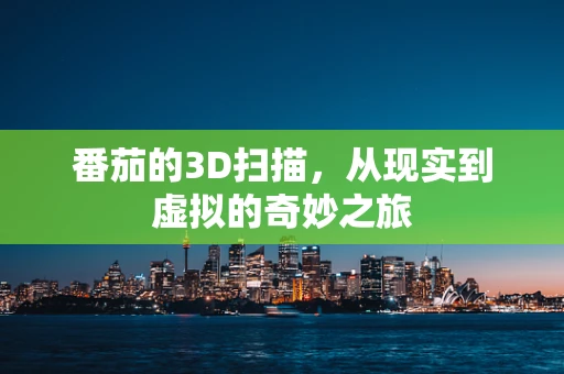 番茄的3D扫描，从现实到虚拟的奇妙之旅