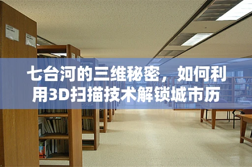 七台河的三维秘密，如何利用3D扫描技术解锁城市历史与未来？