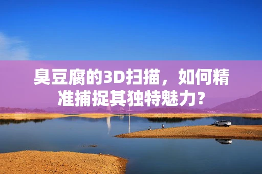 臭豆腐的3D扫描，如何精准捕捉其独特魅力？