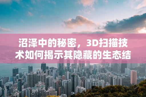 沼泽中的秘密，3D扫描技术如何揭示其隐藏的生态结构？
