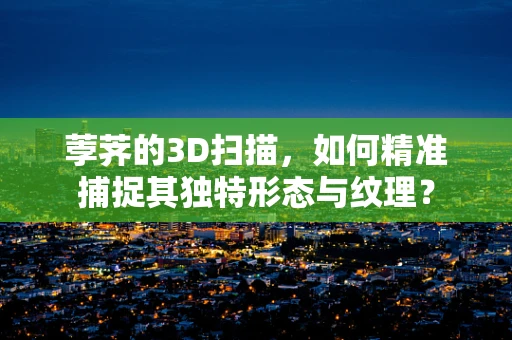 荸荠的3D扫描，如何精准捕捉其独特形态与纹理？