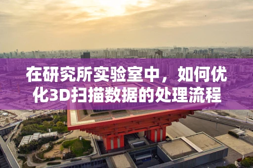 在研究所实验室中，如何优化3D扫描数据的处理流程？
