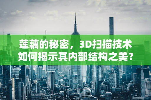 莲藕的秘密，3D扫描技术如何揭示其内部结构之美？
