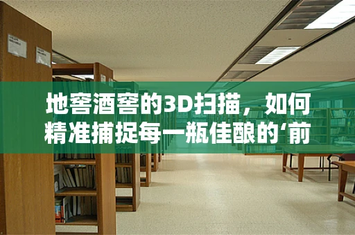 地窖酒窖的3D扫描，如何精准捕捉每一瓶佳酿的‘前世今生’？