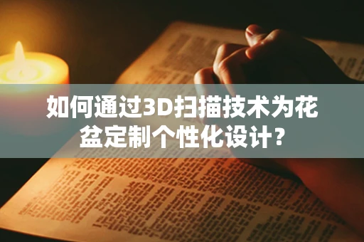 如何通过3D扫描技术为花盆定制个性化设计？