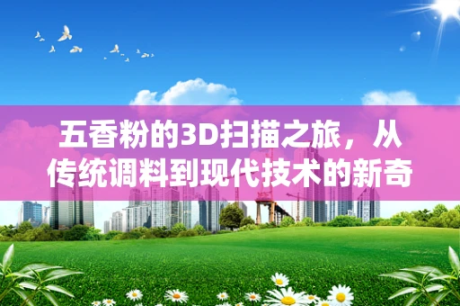 五香粉的3D扫描之旅，从传统调料到现代技术的新奇探索