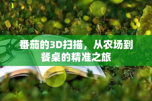 番茄的3D扫描，从农场到餐桌的精准之旅