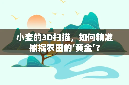 小麦的3D扫描，如何精准捕捉农田的‘黄金’？