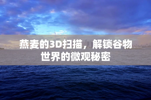 燕麦的3D扫描，解锁谷物世界的微观秘密