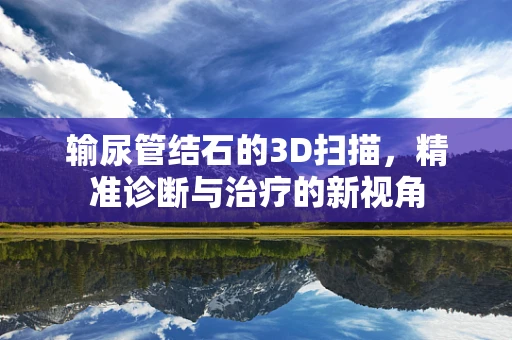 输尿管结石的3D扫描，精准诊断与治疗的新视角