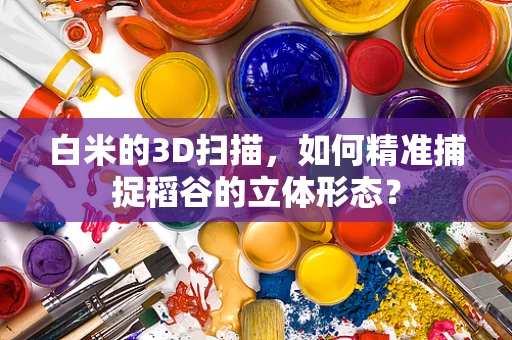 白米的3D扫描，如何精准捕捉稻谷的立体形态？