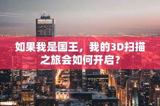 如果我是国王，我的3D扫描之旅会如何开启？
