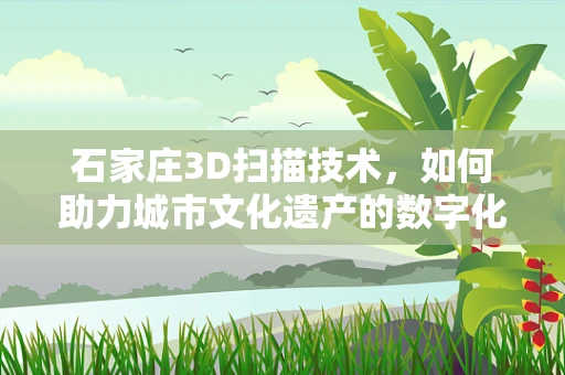 石家庄3D扫描技术，如何助力城市文化遗产的数字化保护？