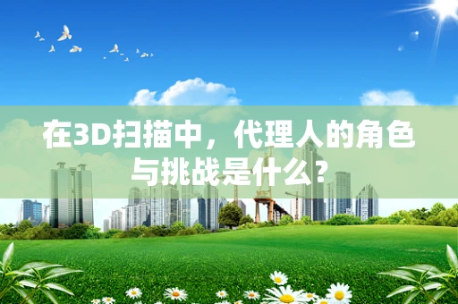 在3D扫描中，代理人的角色与挑战是什么？