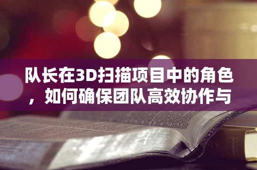 队长在3D扫描项目中的角色，如何确保团队高效协作与数据质量？