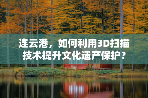 连云港，如何利用3D扫描技术提升文化遗产保护？