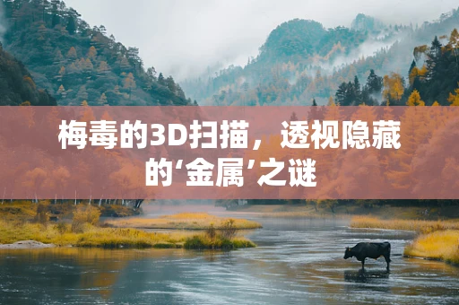 梅毒的3D扫描，透视隐藏的‘金属’之谜