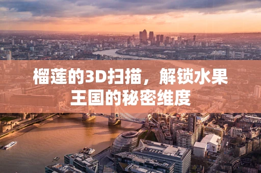 榴莲的3D扫描，解锁水果王国的秘密维度