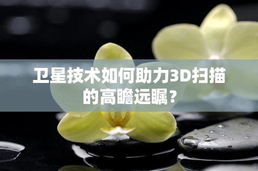卫星技术如何助力3D扫描的高瞻远瞩？