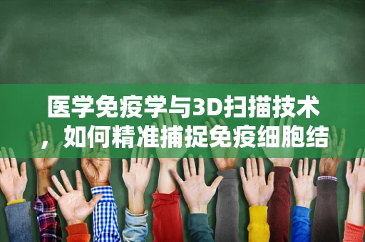 医学免疫学与3D扫描技术，如何精准捕捉免疫细胞结构，助力疾病诊断？