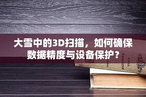 大雪中的3D扫描，如何确保数据精度与设备保护？