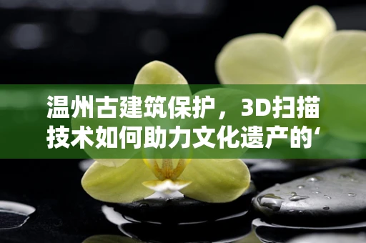 温州古建筑保护，3D扫描技术如何助力文化遗产的‘数字重生’？