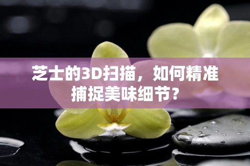 芝士的3D扫描，如何精准捕捉美味细节？