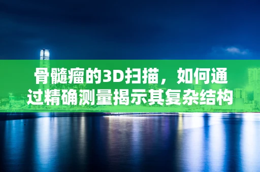 骨髓瘤的3D扫描，如何通过精确测量揭示其复杂结构？