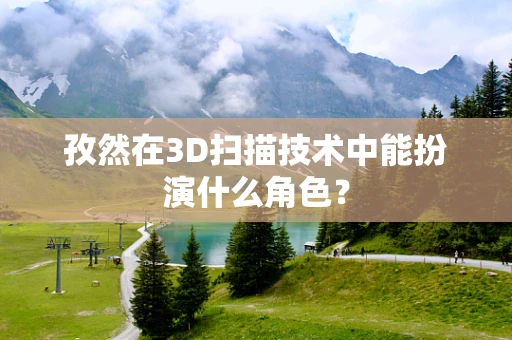 孜然在3D扫描技术中能扮演什么角色？