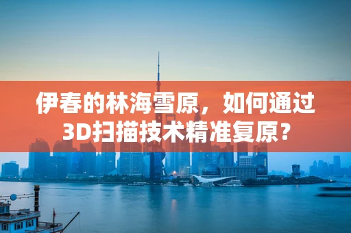伊春的林海雪原，如何通过3D扫描技术精准复原？
