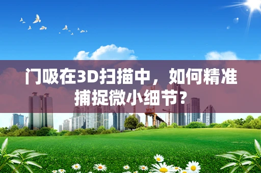 门吸在3D扫描中，如何精准捕捉微小细节？
