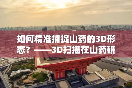 如何精准捕捉山药的3D形态？——3D扫描在山药研究中的应用