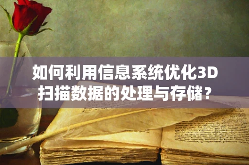 如何利用信息系统优化3D扫描数据的处理与存储？