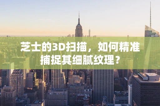 芝士的3D扫描，如何精准捕捉其细腻纹理？