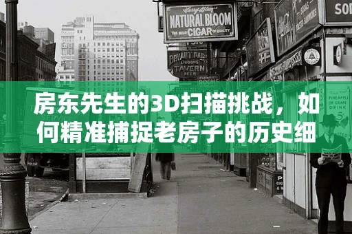 房东先生的3D扫描挑战，如何精准捕捉老房子的历史细节？
