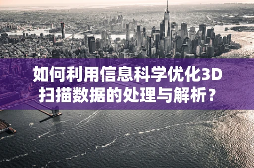 如何利用信息科学优化3D扫描数据的处理与解析？