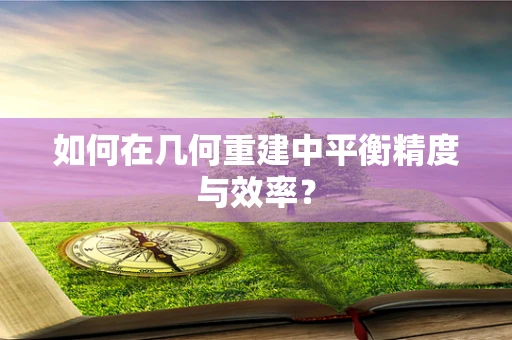 如何在几何重建中平衡精度与效率？