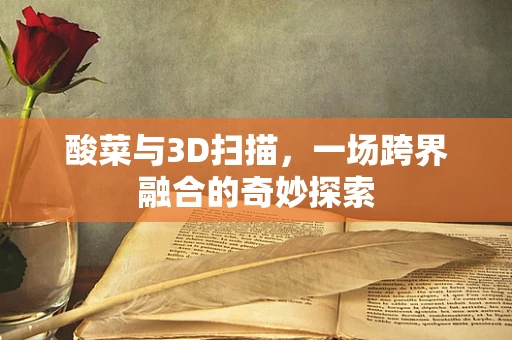 酸菜与3D扫描，一场跨界融合的奇妙探索