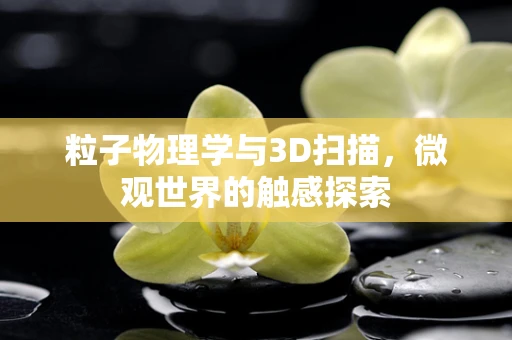 粒子物理学与3D扫描，微观世界的触感探索