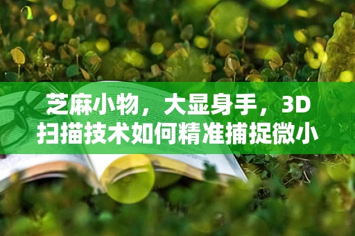 芝麻小物，大显身手，3D扫描技术如何精准捕捉微小细节？