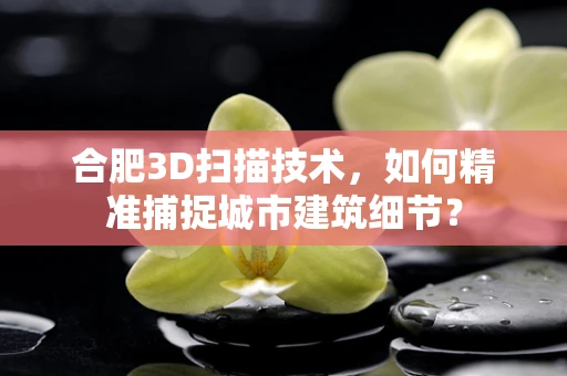 合肥3D扫描技术，如何精准捕捉城市建筑细节？
