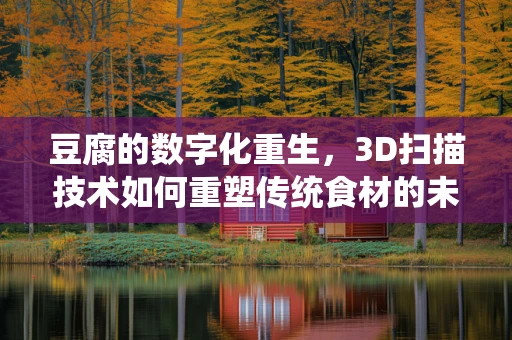 豆腐的数字化重生，3D扫描技术如何重塑传统食材的未来？