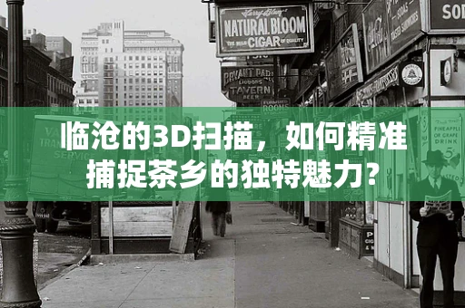 临沧的3D扫描，如何精准捕捉茶乡的独特魅力？