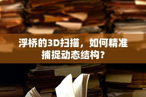 浮桥的3D扫描，如何精准捕捉动态结构？